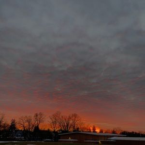 Meet your Posher, Patrick